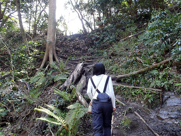 佐助稲荷神社のハイキングコース
